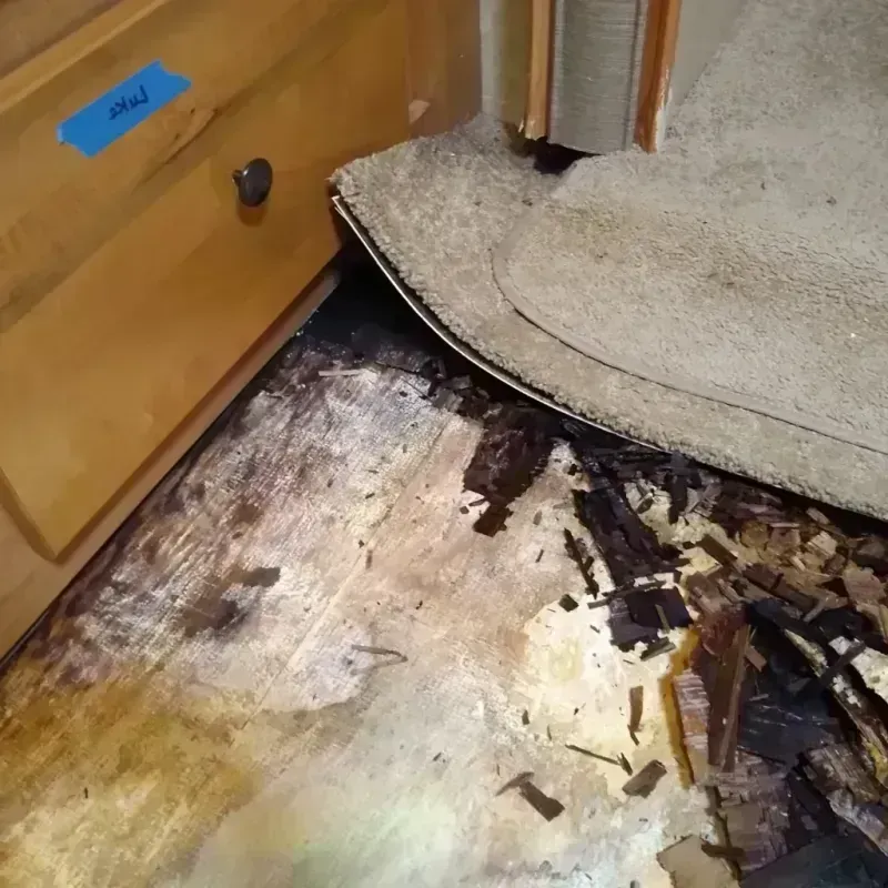 Best Wood Floor Water Damage Service in Richboro, PA